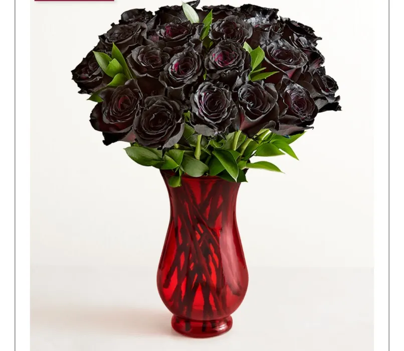 Valentine's Black Roses