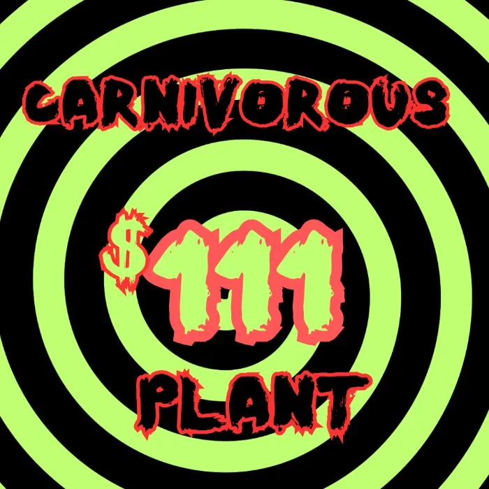 Plant Gift 