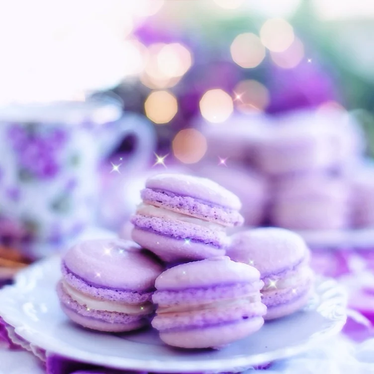 Sweet Treat (20) 🧁