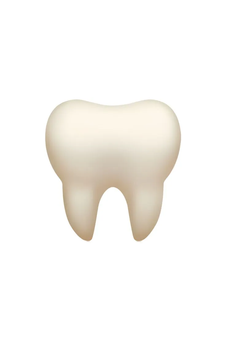 Fix My Front Bottom Tooth! 