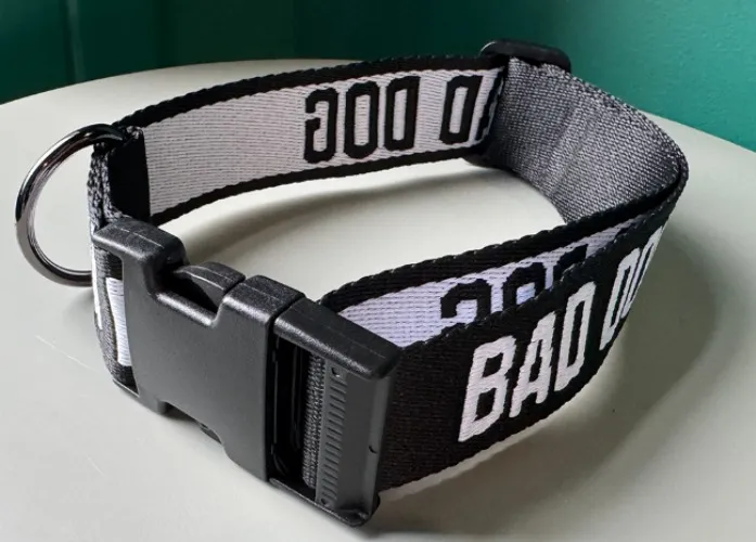 BAD DOG – Collar – WoofAndWagClub