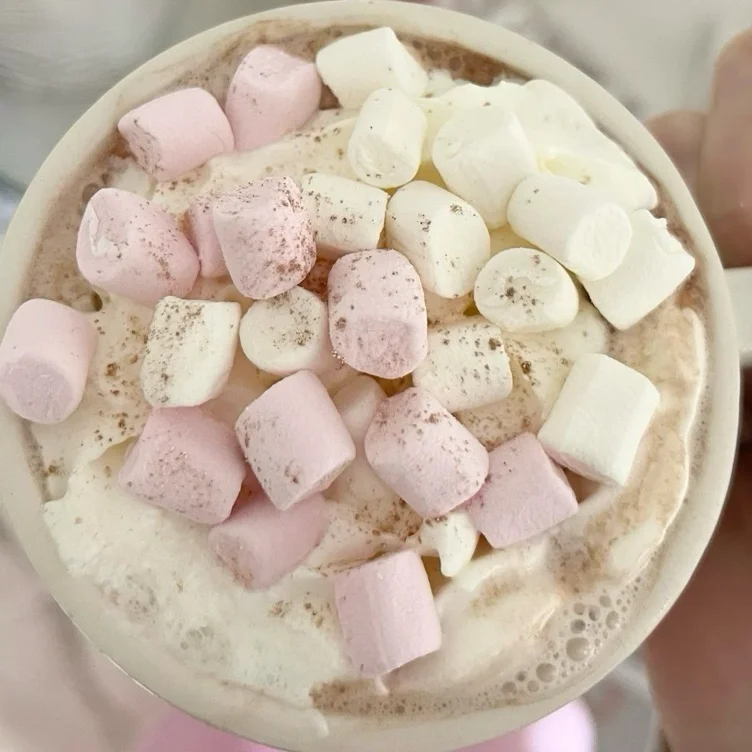 hot cocoa  ! ⋆⁺₊❅.  