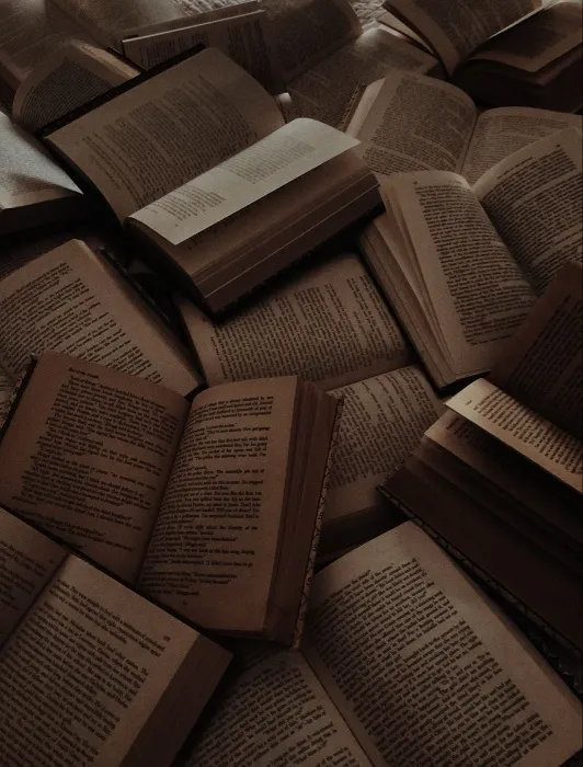 𑣲books