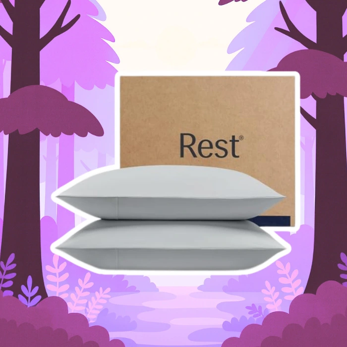 REST® Evercool®+ Cooling Pillowcases for Hot Sleepers, Standard, 2PCS | IONIC+ Silver-Infused Yarn for Hygienic Sleep, Cool-to-Touch, Silky Smooth for Hair, High-Elastic Snug Fit, Machine Washable - Light Gray - Standard (2 pcs)