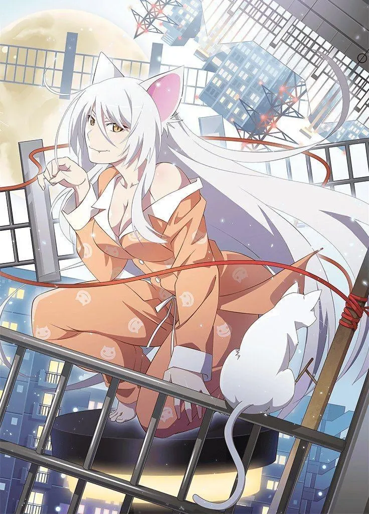 Hanekawa Cat - Wig + Dress