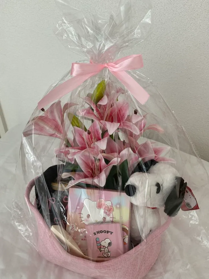 big gift . ݁⋆ ۶ৎ ݁˖ . ݁