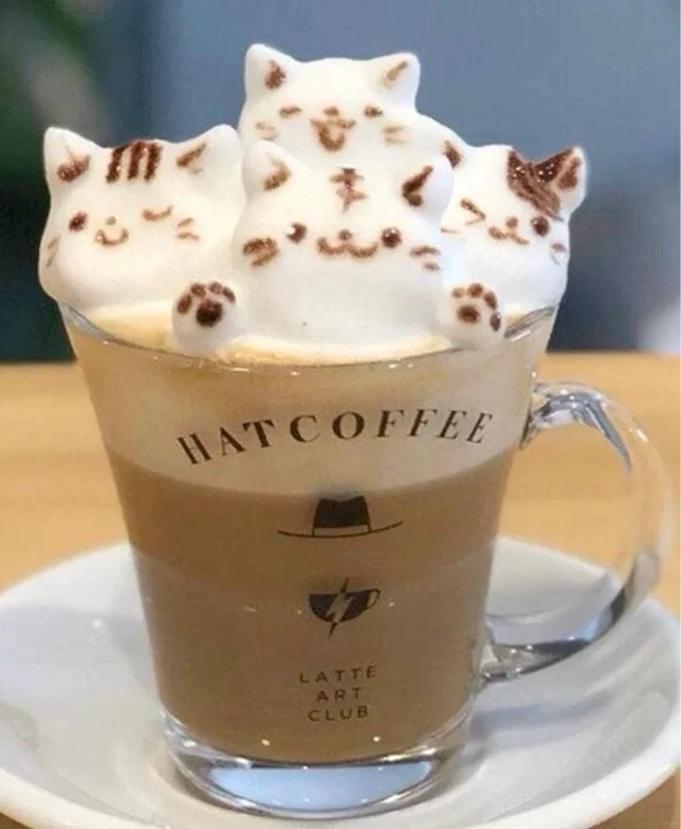 Medium coffee ⋆.˚
