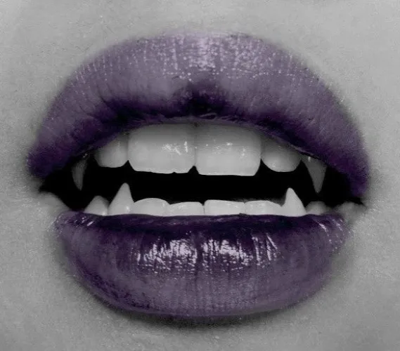 Lunch bite. ꒷ 🍰 . 𖦹˙—