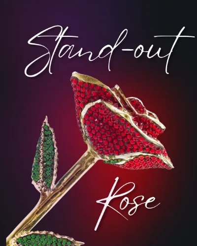 Stand Out Rose