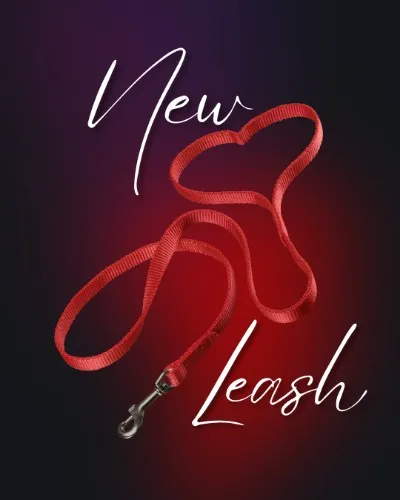 New Leash