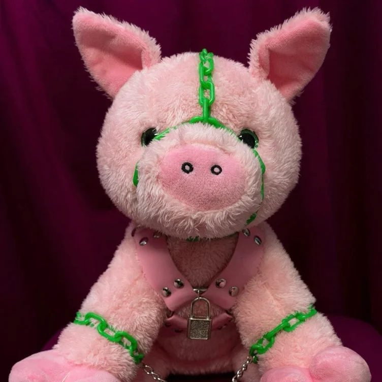 Good Boy Toy 🐽💗