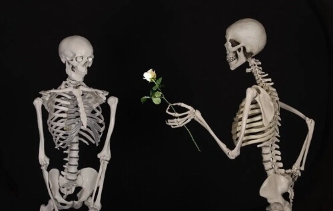 funeral fund (s)