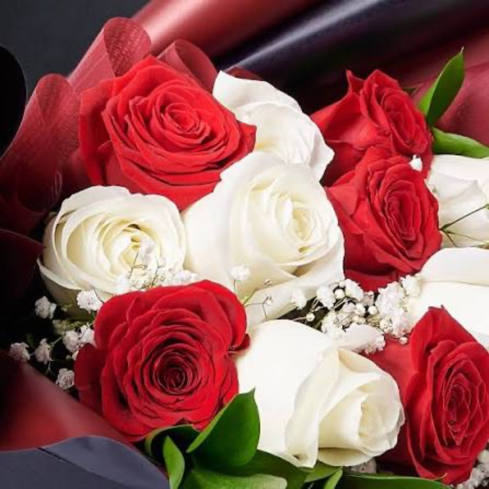 Roses (red and white) 
