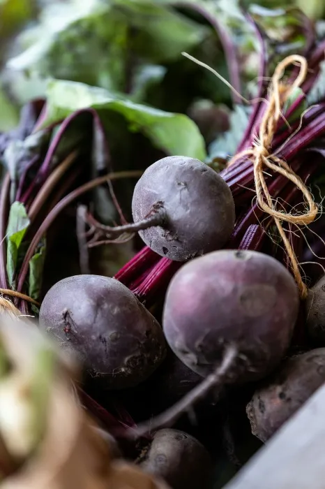 Beet Farm