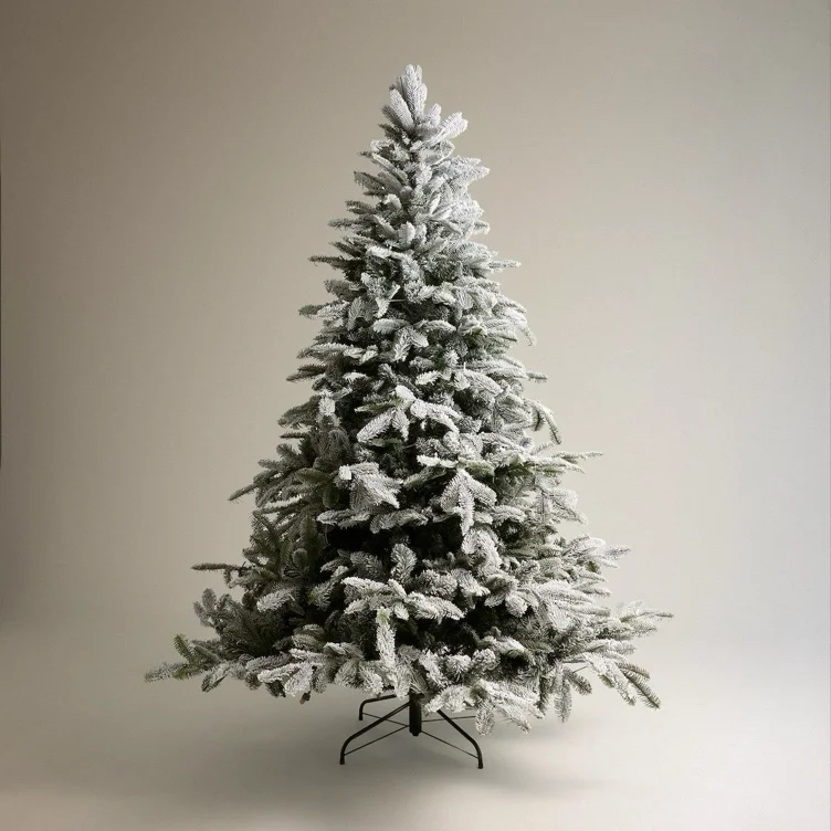 My 1st BIG🎄🎅🏼