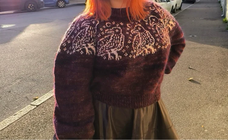 Yarn for Conspiracy of Ravens Sweater