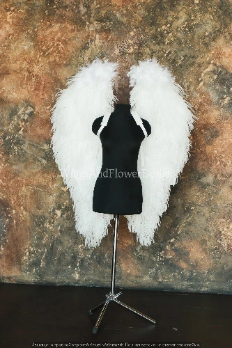 Angel Devil Wings