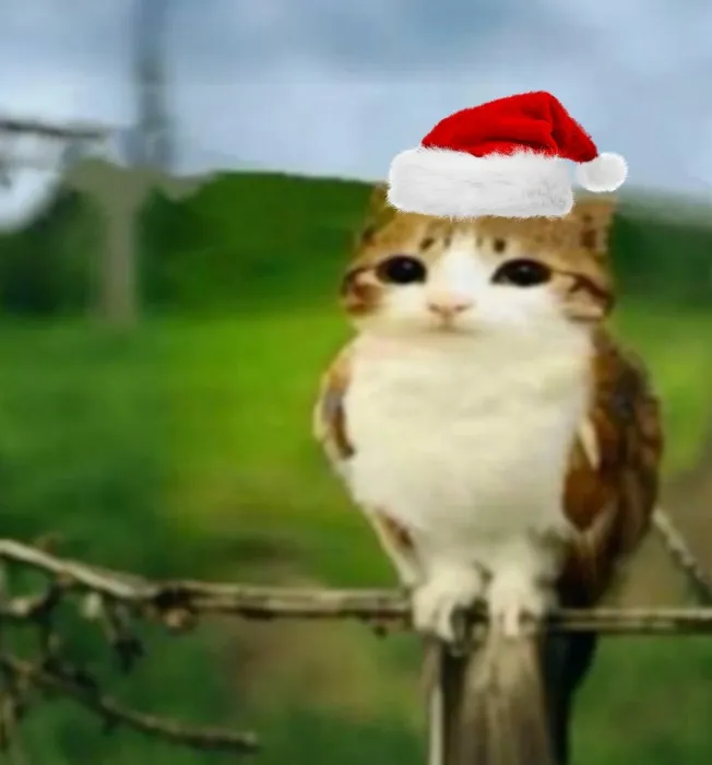 Bring me to my goal <3