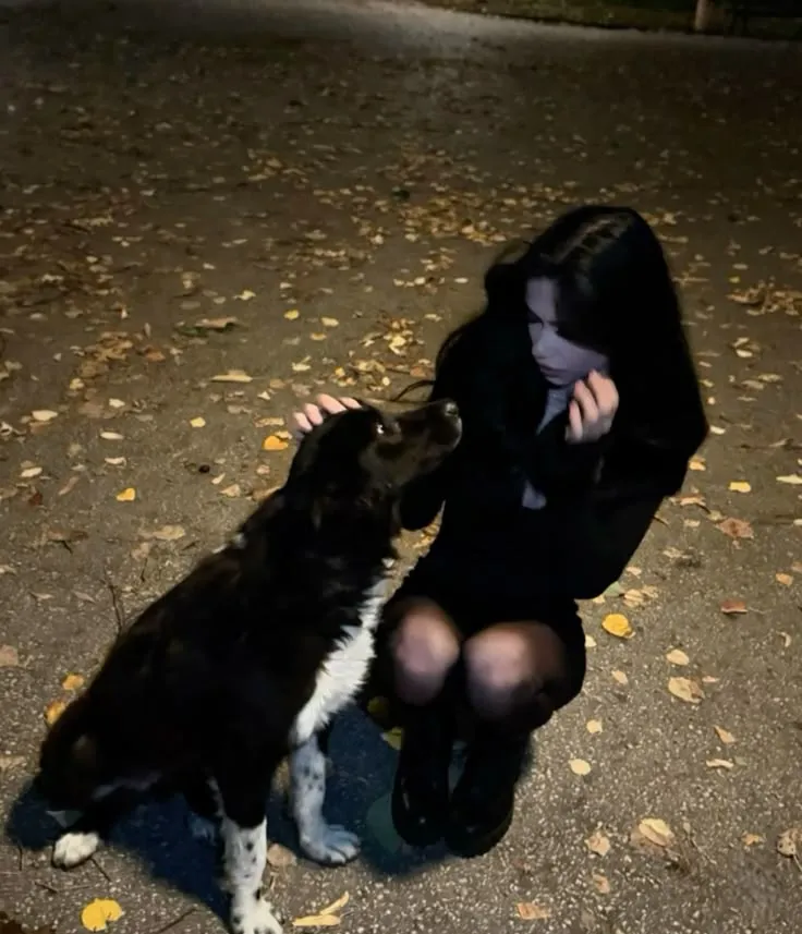 evies useless bitch role 