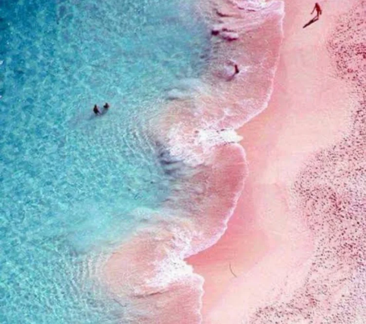 Excursion to Pink Island Bahamas 