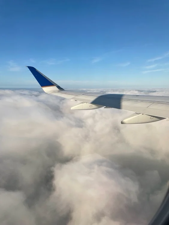 Fly me out🖤