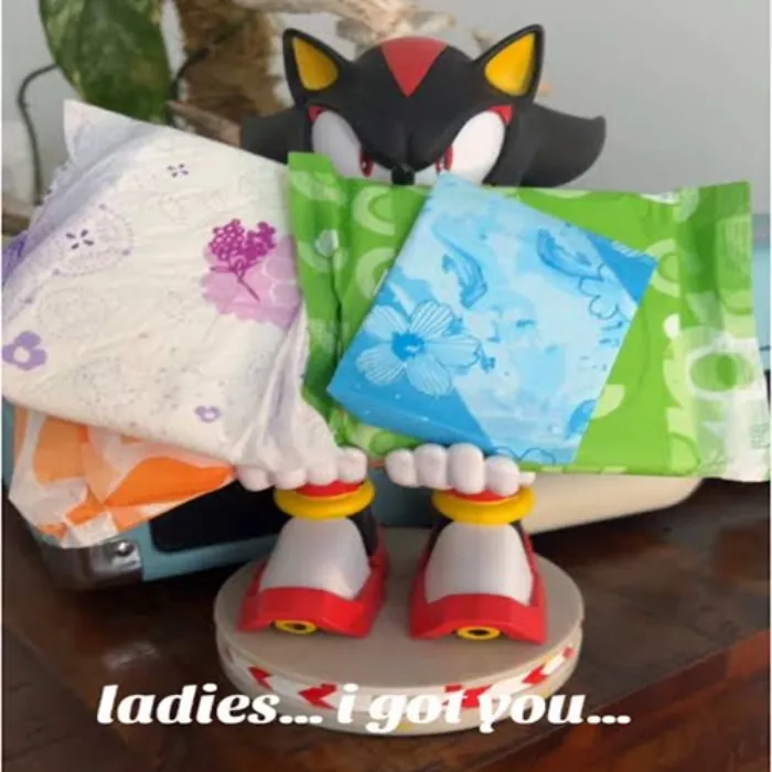 Shadow The Ultimate Holder