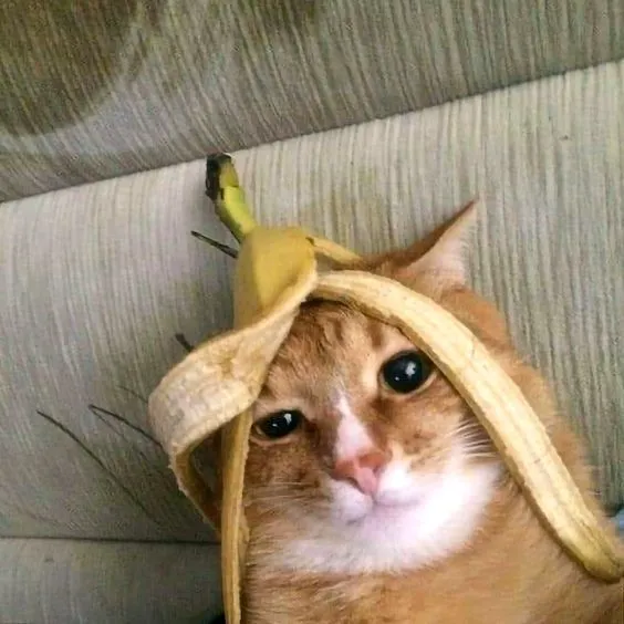 3 million billion dollars