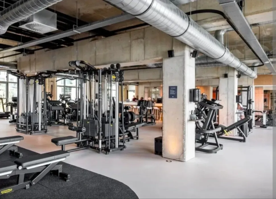 Gym Membership (Monthly)