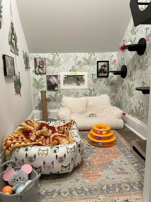 Cat room upgrade