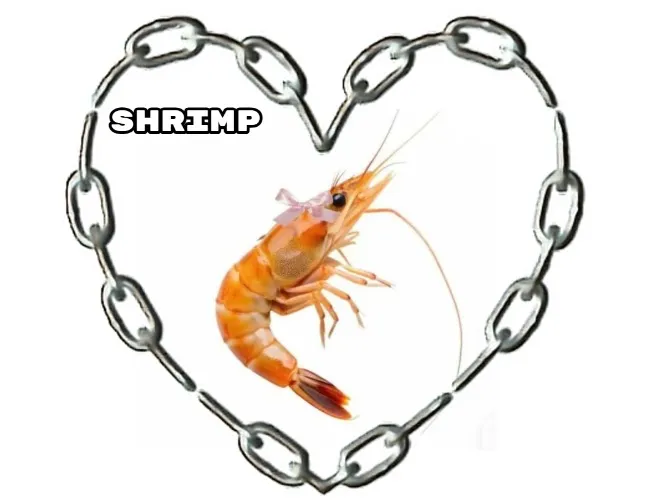 Shrimp 