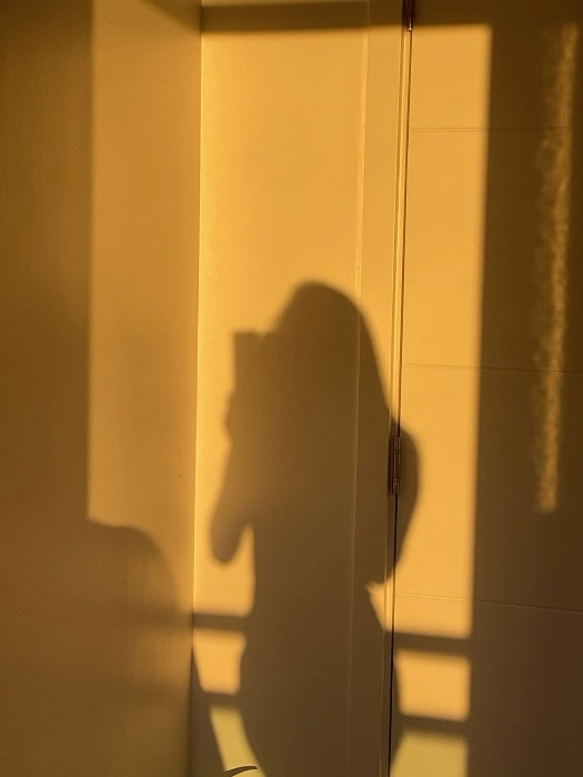 💌 $200 Premium attention