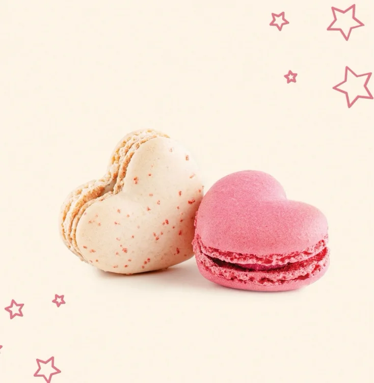 ˚꩜2 mimi macaron! ꩜˚