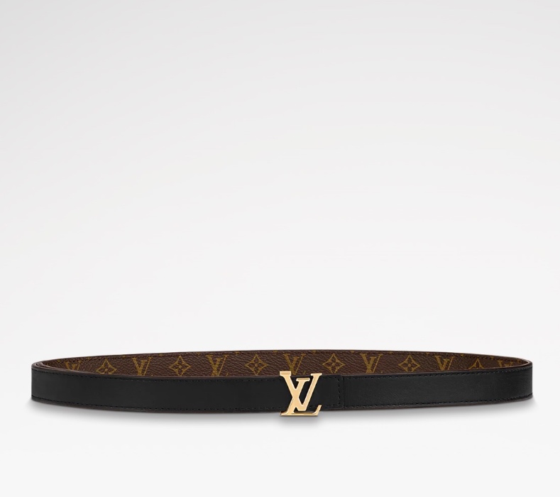 LV reversible belt
