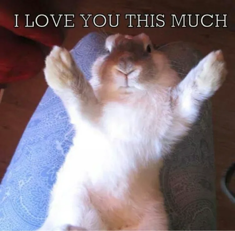 something i really need…..