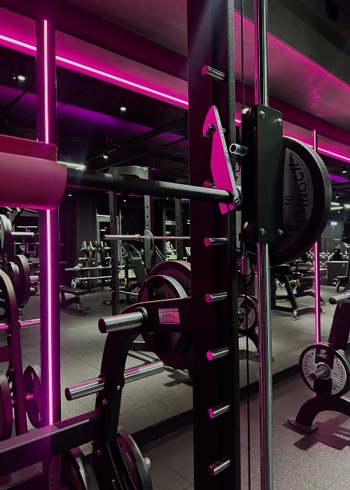 Yearly gym membership 