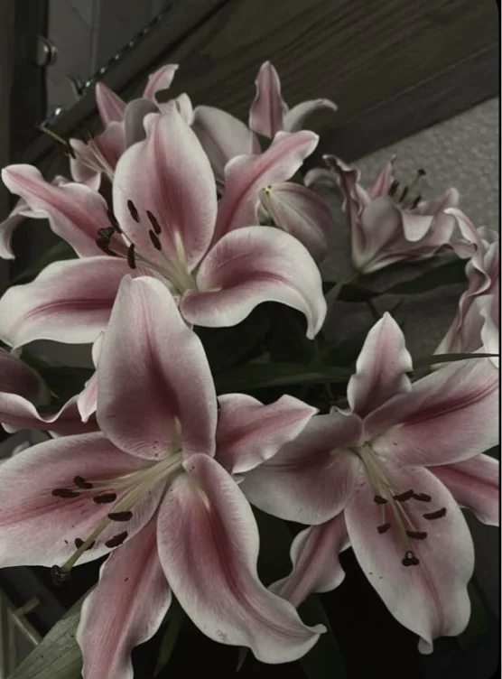 Alot of flowers