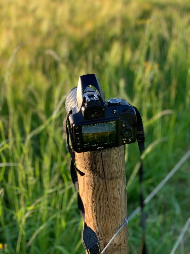 To visit new locations <3