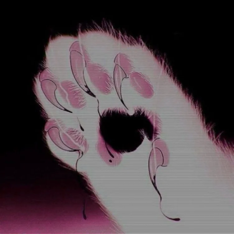 nail appt ˚୨୧⋆｡˚ ⋆