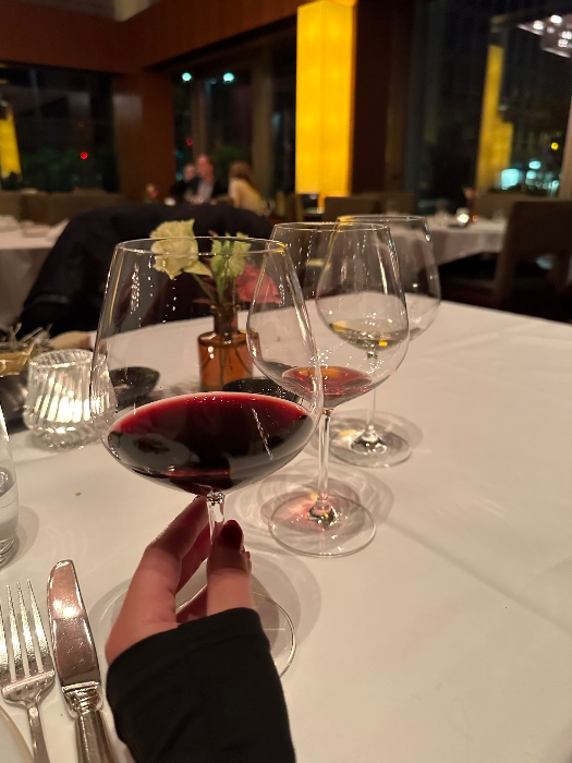 Wine tasting dinner with me