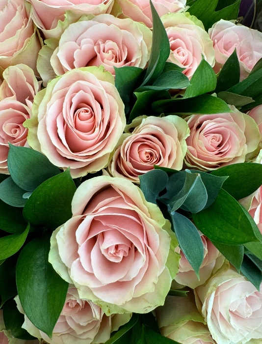 Fresh Flowers 