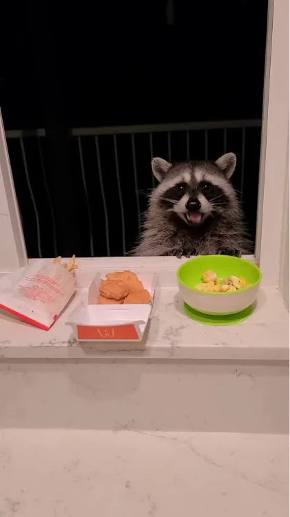 Lunch 