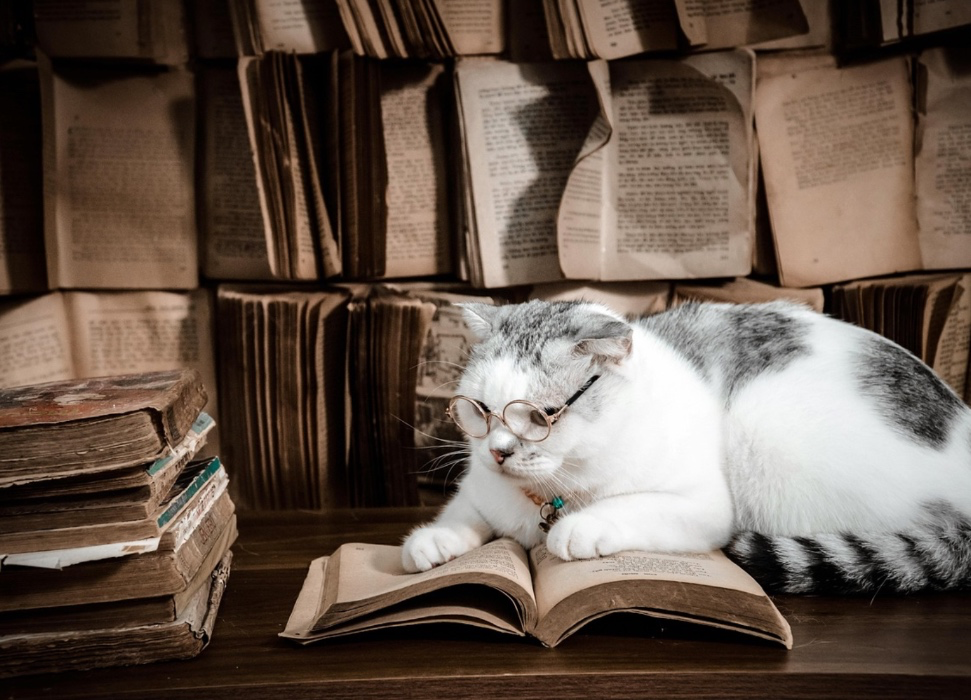 Give me a week off to study!!