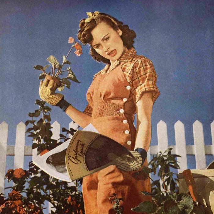 Monthly Yard Maintenance 