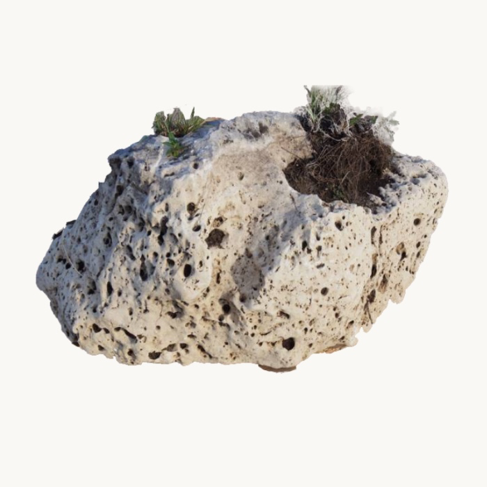 Holey Limestone Boulders for my Yard (1500 lbs-ish)