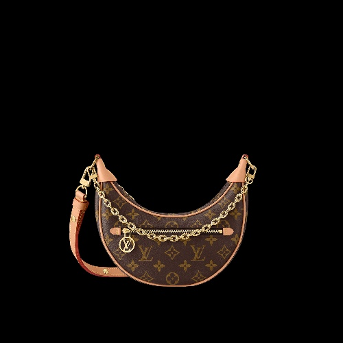 Louis Vuitton | Loop Bag