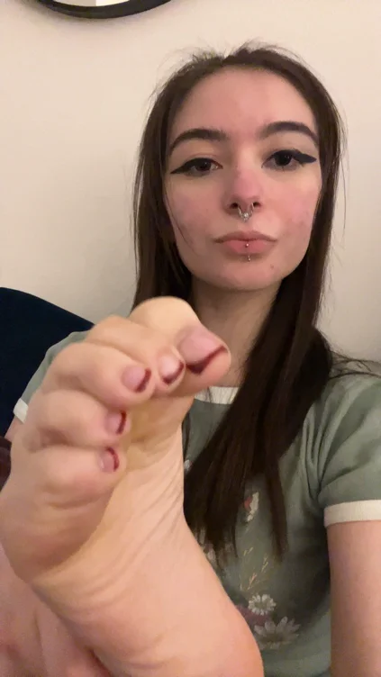 $69 cookies 🍼🍯