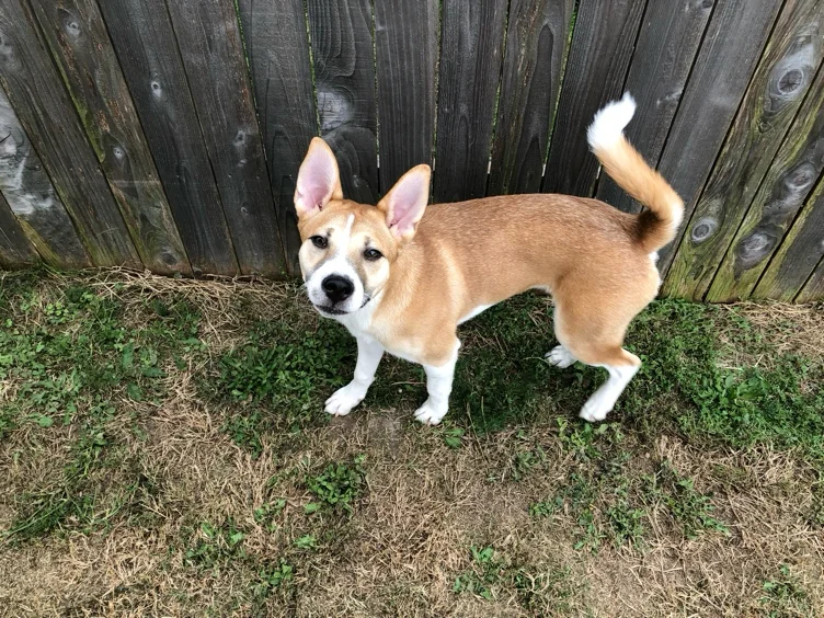 walk for peace ☮️🤍