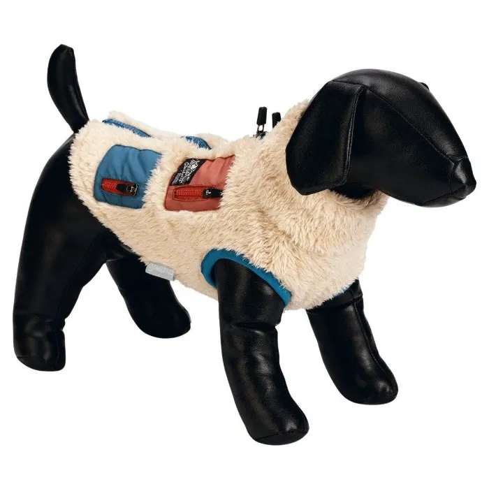 Jacket for Diego to keep him warm