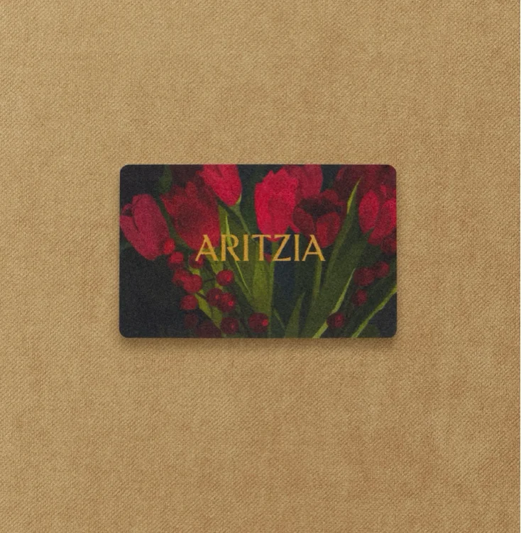 Cashmere Angel ~ Aritzia Gift Card 