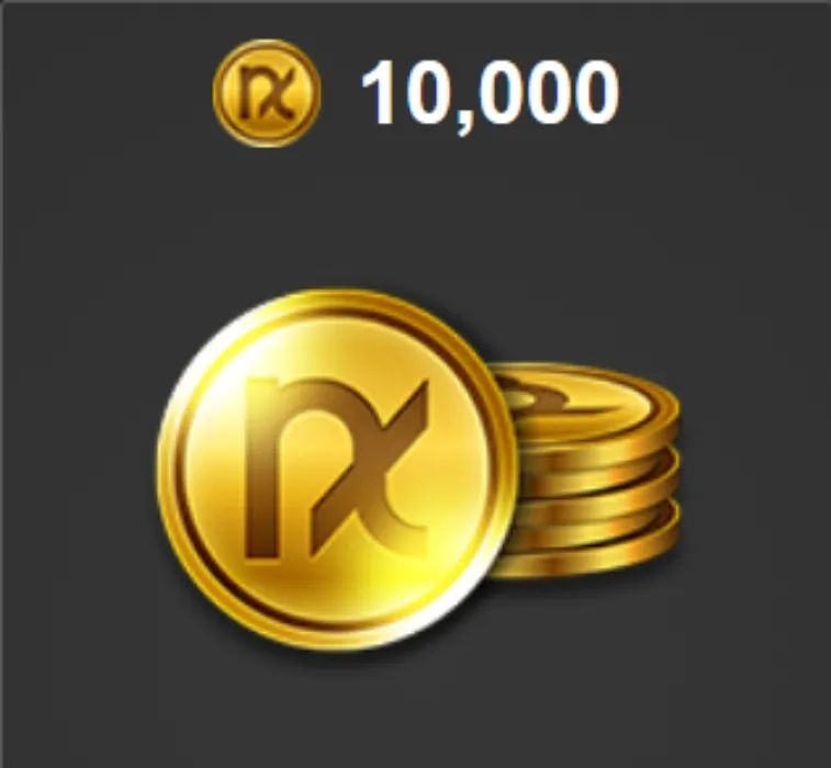 10k NX